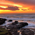 Golden Hour Low Tide Painting by Jeanette French Golden Hour Low Tide Painting by Jeanette French