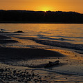 Good Harbor Bay Sunset by Heather Kenward Good Harbor Bay Sunset by Heather Kenward