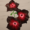 Goodnight Flower Painting by Berlynn Goodnight Flower Painting by Berlynn
