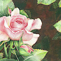 Grace by Lori Taylor