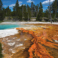 Grand Prismatic Spring by Mae Wertz