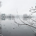 Green Lake Snow and Branches Photograph by William Dunigan