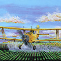 Grumman Ag Cat Painting by Karl Wagner Grumman Ag Cat Painting by Karl Wagner