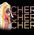 Half Breed Cher Digital Art by Cher Style Half Breed Cher Digital Art by Cher Style