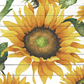 Happy Sunflower I Mixed Media by Elizabeth Medley Happy Sunflower I Mixed Media by Elizabeth Medley