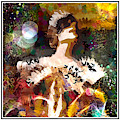 Harlequin Photograph by Peggy Dietz Harlequin Photograph by Peggy Dietz