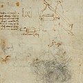 Head Of An Old Man, And Studies Of Machinery Drawing by Leonardo Da Vinci Head Of An Old Man, And Studies Of Machinery Drawing by Leonardo Da Vinci