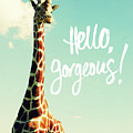 Hello Gorgeous Giraffe by Susan Bryant Hello Gorgeous Giraffe by Susan Bryant