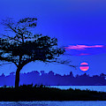 Higgins Lake Cherry Red Sunset Photograph by Joe Holley Higgins Lake Cherry Red Sunset Photograph by Joe Holley