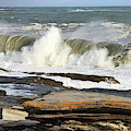 High Surf Warning Painting by Jeanette French High Surf Warning Painting by Jeanette French
