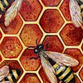 Honey Bees by Kate Fortin Honey Bees by Kate Fortin