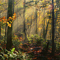 Horizontal Rays of Sun After a Storm Photograph by Raymond Salani III Horizontal Rays of Sun After a Storm Photograph by Raymond Salani III
