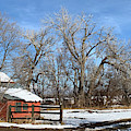 Horse Loafing Shed After Snow by Marilyn Hunt Horse Loafing Shed After Snow by Marilyn Hunt