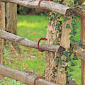 Horseshoe Fence by Karen Silvestri Horseshoe Fence by Karen Silvestri