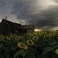 How Can I Be Lost If I've Got Nowhere To Go by Aaron J Groen How Can I Be Lost If I've Got Nowhere To Go by Aaron J Groen