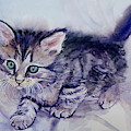 Hunting For A Mouse by Suzann Sines Hunting For A Mouse by Suzann Sines
