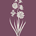 Hyacinth Purple Flower by Naxart Studio Hyacinth Purple Flower by Naxart Studio