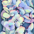 Hydrangea Study Painting by Lois Blasberg Hydrangea Study Painting by Lois Blasberg