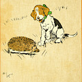 Puppy and Hedgehog, illustration of Drawing by Cecil Aldin Puppy and Hedgehog, illustration of Drawing by Cecil Aldin