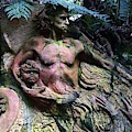 Indigenous Australians by Krisztina Toth