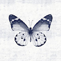 Indigo and White Butterfly 1- Art by Linda Woods Mixed Media by Linda Woods Indigo and White Butterfly 1- Art by Linda Woods Mixed Media by Linda Woods