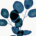 Indigo Eucalyptus 3- Art by Linda Woods Mixed Media by Linda Woods Indigo Eucalyptus 3- Art by Linda Woods Mixed Media by Linda Woods