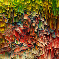 Intriguing - Pixel Art Digital Art by Jennifer Walsh Intriguing - Pixel Art Digital Art by Jennifer Walsh