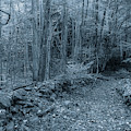 Is This The Way Photograph by Mike Eingle Is This The Way Photograph by Mike Eingle