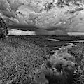 Isolated Shower - BW Photograph by Christopher Holmes Isolated Shower - BW Photograph by Christopher Holmes