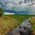 Isolated Shower Photograph by Christopher Holmes Isolated Shower Photograph by Christopher Holmes