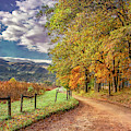 It's Finally Fall Photograph by Marcy Wielfaert It's Finally Fall Photograph by Marcy Wielfaert
