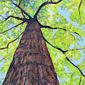 Joyce Kilmer Tree Painting by Anne Marie Brown Joyce Kilmer Tree Painting by Anne Marie Brown