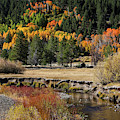 Jt__0563 Photograph by John T Humphrey Jt__0563 Photograph by John T Humphrey