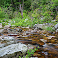 June Morning At The Peterskill by Jeff Severson June Morning At The Peterskill by Jeff Severson