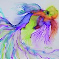 Kaleidoscopic Beta by Barrie Stark