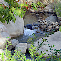 Kaweah River by Magnus Haellquist