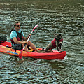 Kayaking Buddies - Stratford by Rod Johnson