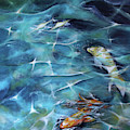 Koi Fish3 by Shveta Saxena Koi Fish3 by Shveta Saxena