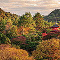 Higashiyama, Kyoto Photograph by Francesco Emanuele Carucci