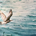 La Mouette Painting by Francoise Chauray La Mouette Painting by Francoise Chauray