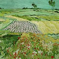 La plaine d'Auvers. Oil -June 1890- 50 x 101 cm. Painting by Vincent van Gogh -1853-1890- La plaine d'Auvers. Oil -June 1890- 50 x 101 cm. Painting by Vincent van Gogh -1853-1890-