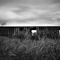 Land Of Decay by Trinidad Dreamscape Land Of Decay by Trinidad Dreamscape