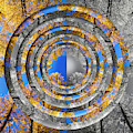 Larches Color to Black and White Reflection Circles Digital Art by Pelo Blanco Photo Larches Color to Black and White Reflection Circles Digital Art by Pelo Blanco Photo
