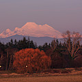 Last Light Photograph by Briand Sanderson Last Light Photograph by Briand Sanderson