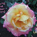 Latter Rain Mixed Media by Lori Tondini Latter Rain Mixed Media by Lori Tondini