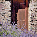 Lavender Welcomes you to this Abode Photograph by Leslie Struxness Lavender Welcomes you to this Abode Photograph by Leslie Struxness