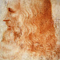 Leonardo da Vinci Painting by Francesco Melzi Leonardo da Vinci Painting by Francesco Melzi