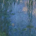 Les Nympheas, les Saules-water lillies and willows. Oil on canvas Inv. 20104. Painting by Claude Monet -1840-1926-