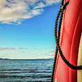 Lifesaver and the Sea Photograph by Anamar Pictures Lifesaver and the Sea Photograph by Anamar Pictures