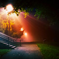 Light Of Street Lamp In Foggy Night Photograph by Wladimir Bulgar/science Photo Library